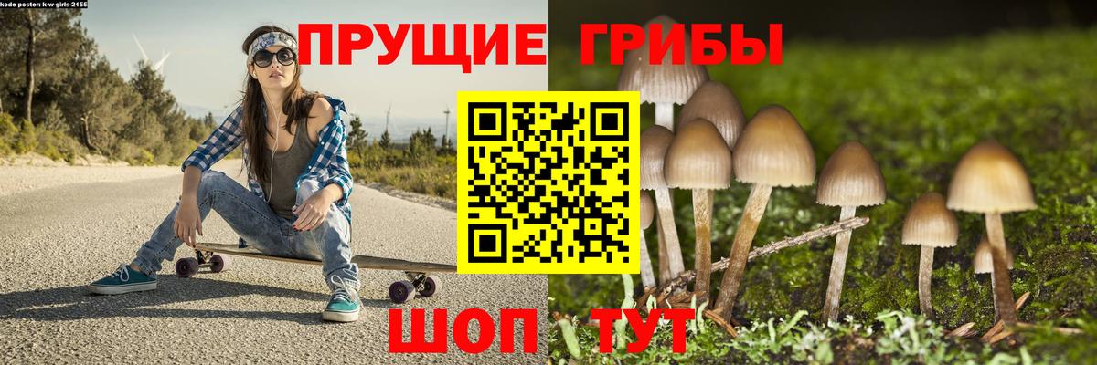 Галлюциногенные грибы MAGIC MUSHROOMS  Вход с VPN  Кохма  Галлюциногенные грибы Psilocybine cubensis 