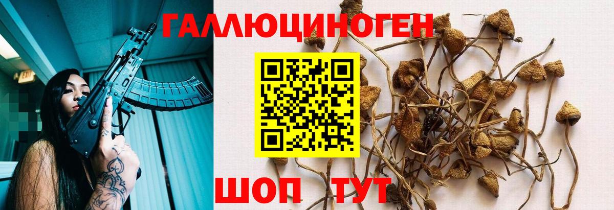 Галлюциногенные грибы Cubensis Кохма